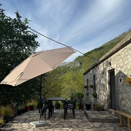 Nature Escape Montenegro Kotor Extérieur photo