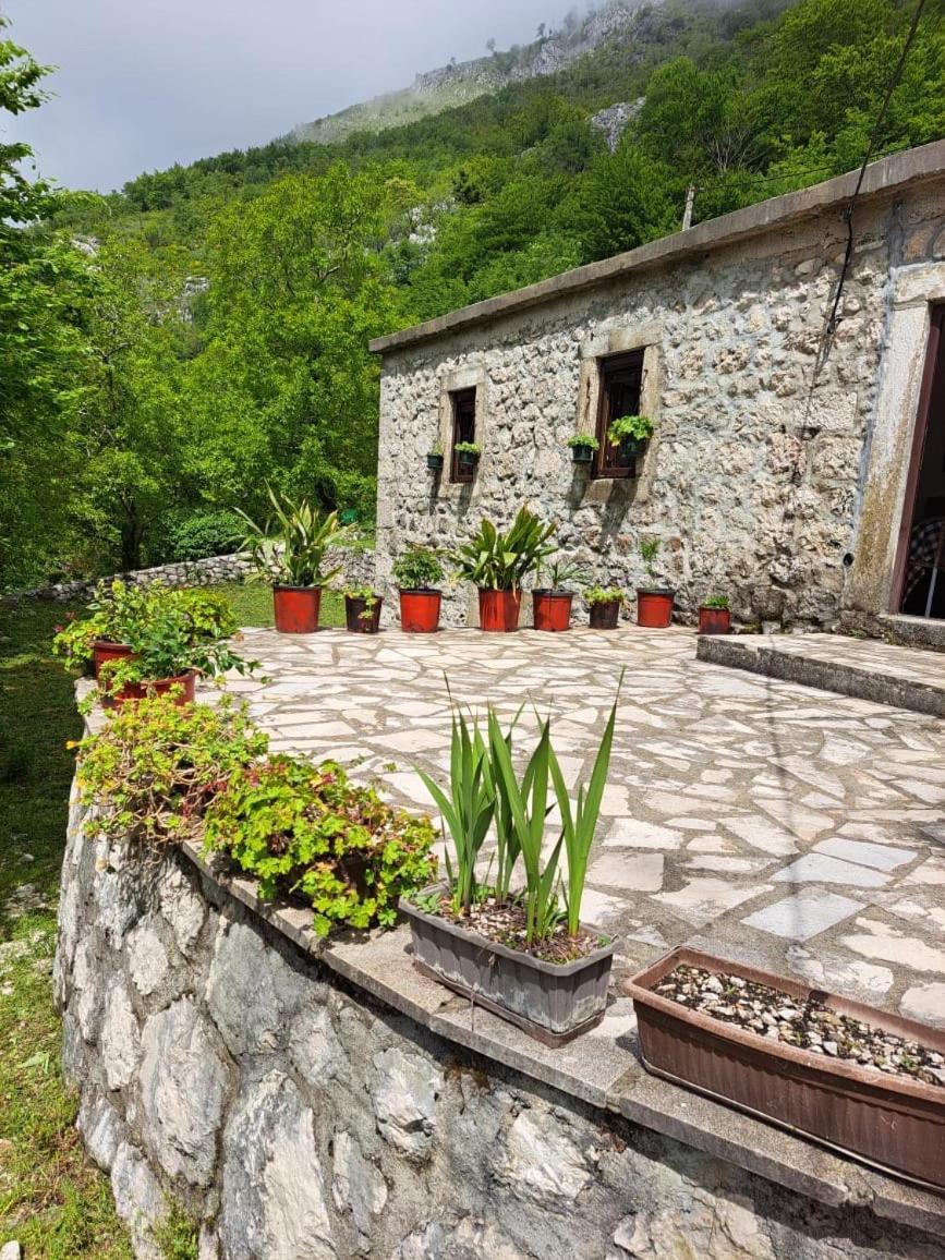 Nature Escape Montenegro Kotor Extérieur photo