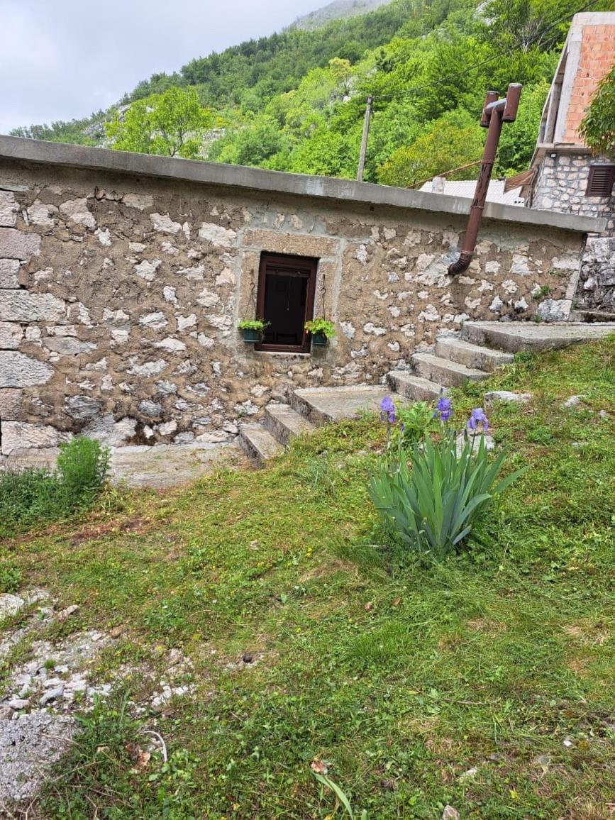Nature Escape Montenegro Kotor Extérieur photo