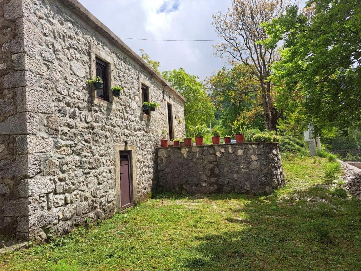 Nature Escape Montenegro Kotor Extérieur photo