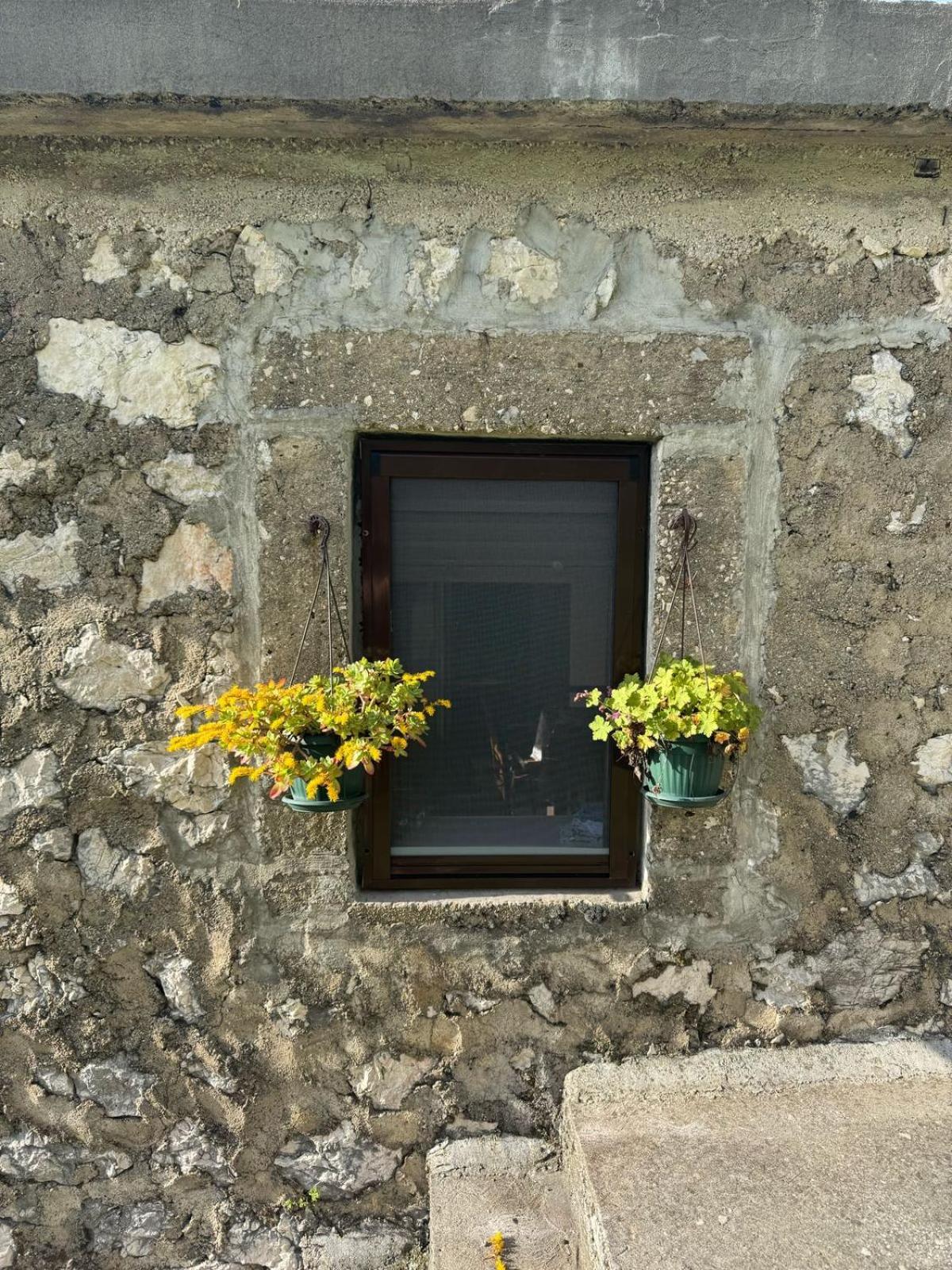 Nature Escape Montenegro Kotor Extérieur photo