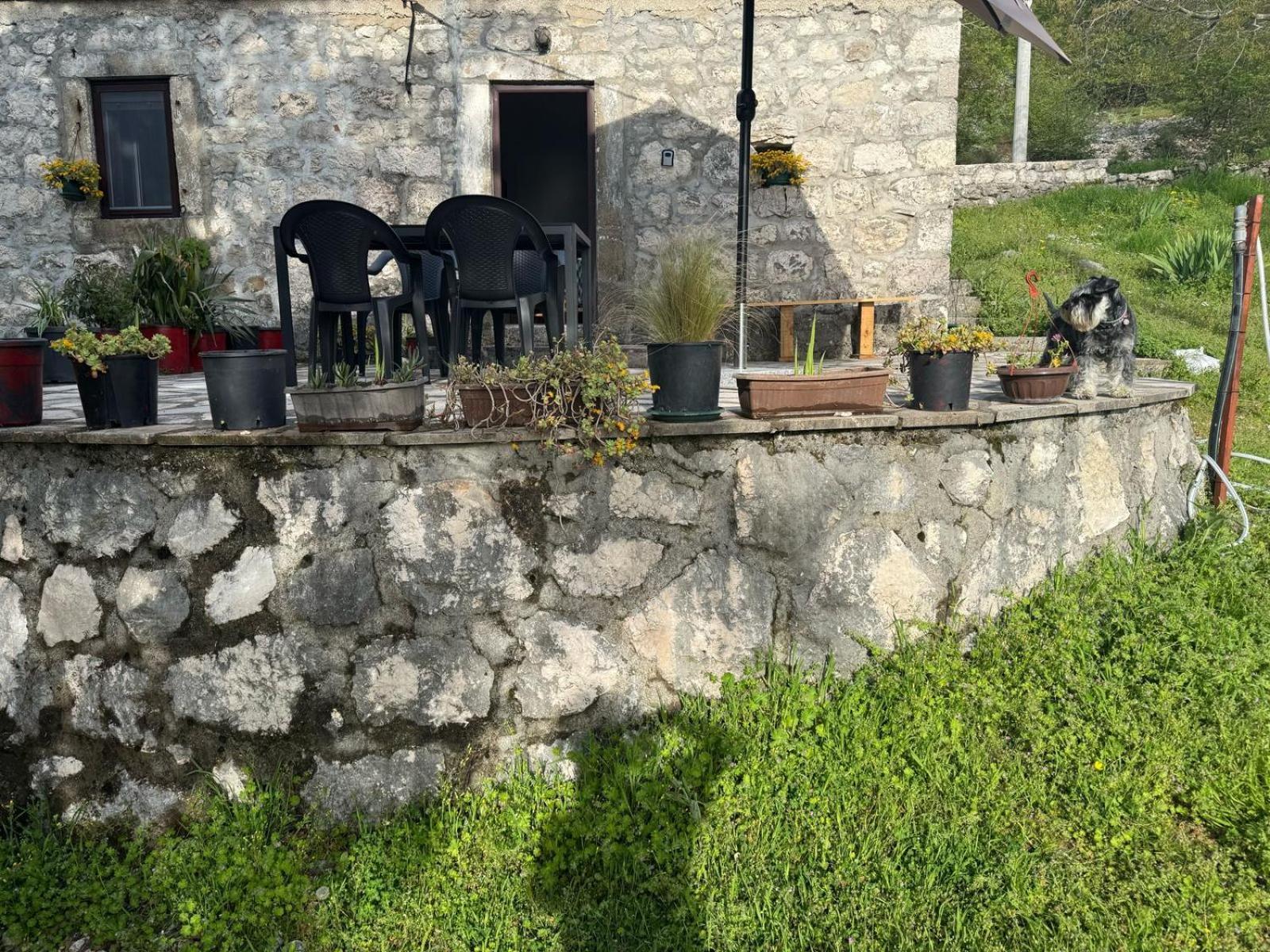 Nature Escape Montenegro Kotor Extérieur photo
