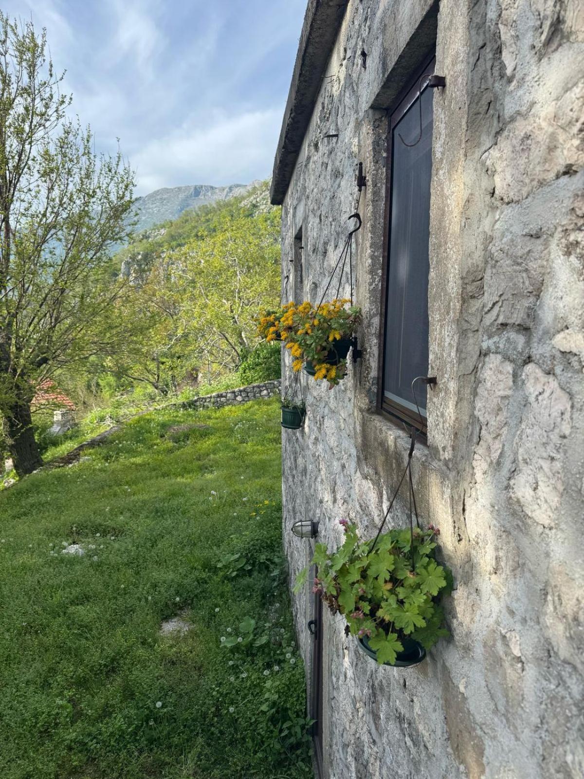 Nature Escape Montenegro Kotor Extérieur photo